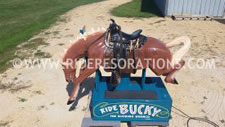 Bucky Coin Op Kiddie Ride Horse